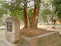 आजाद के स्मारक के रूप में लागल पत्थर।