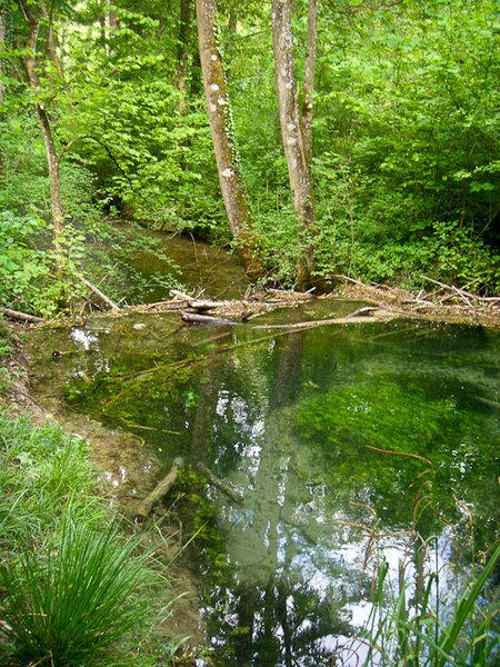 Tập_tin:Thurweg_Beaver_pond.jpg