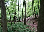 Timmerlaher Busch, Gleidinger Holz und angrenzende Landschaftsteile