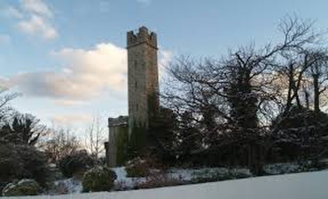 Charles Haliday's Tower Folly, on the east of CBC Monkstown's grounds