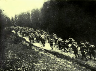 <span class="mw-page-title-main">Battle of Transylvania</span> 1916 battle of World War I