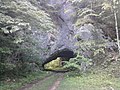 wikimedia_commons=File:Tunnel near stream Miniș.jpg
