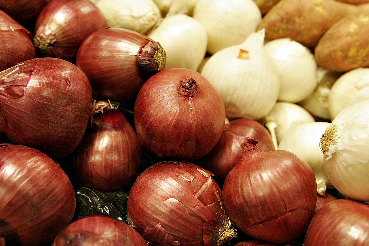 Two colors of onions.jpg