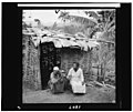 Two portraits of women seated in front of hut, shaking rattles 3d01807v.jpg