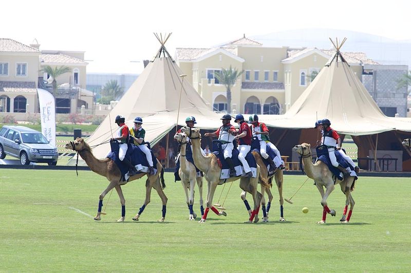 File:UAE society celebrates the return of British Polo Day - Dubai (13583141114).jpg