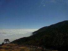 Encosta da montanha com vegetação colorida outono prados de alta altitude  visíveis através das nuvens