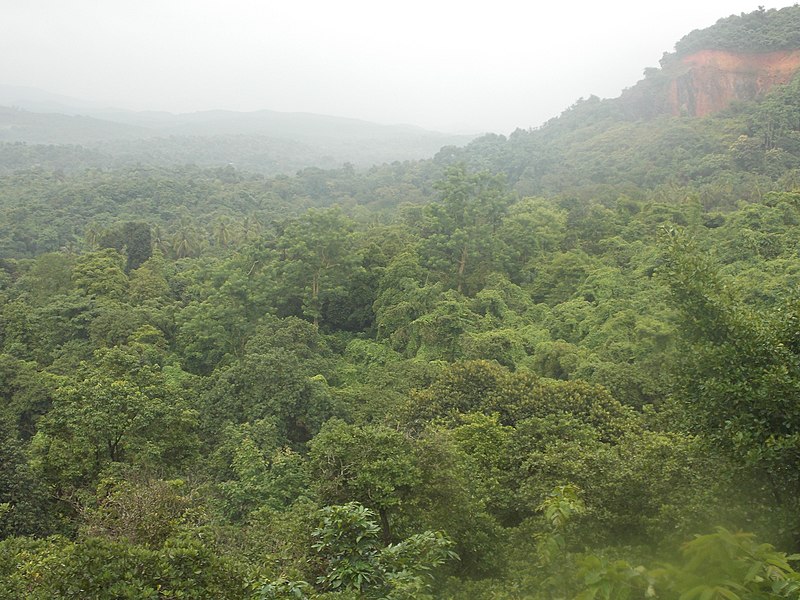 File:View from Mopa Plateau in Pernem block of Goa State.JPG