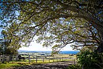 Saddleback Mountain (New South Wales)