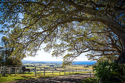 New wales. Новый Южный Уэльс. Новый Южный Уэльс природа. Южный Уэльс Австралия. Новый Южный Уэльс Австралия фото.