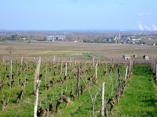 Volet roulant Souzay-Champigny (49400)