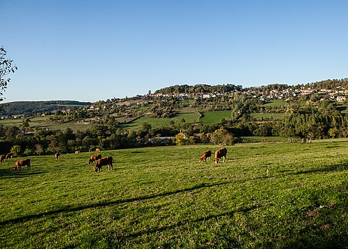 Rideau métallique Alise-Sainte-Reine (21150)