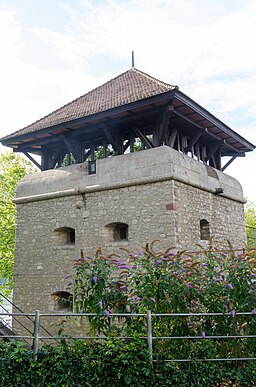 Würzburg, Hirtenturm am Mainufer