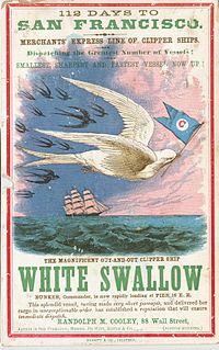 <i>White Swallow</i>
