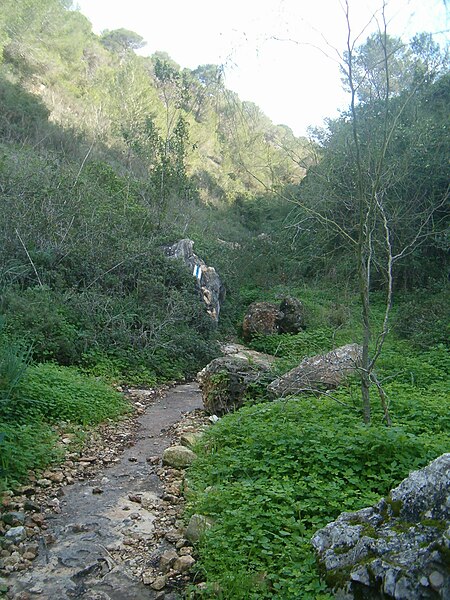 Tập_tin:Wadi_Lotem_trail_looking_up.jpg