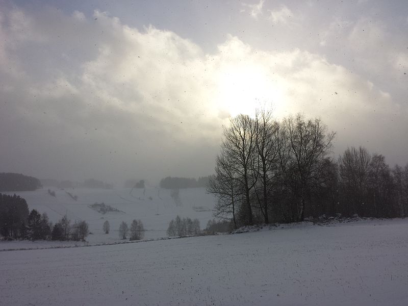 File:Waldviertler Landschaft sl6.jpg