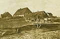 Hallig Gröde:(1895)