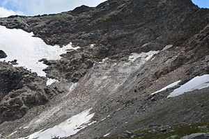 The remains of the Wildenkees in summer 2015