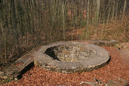 Wittekindsburg rundturm 04