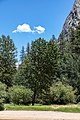 * Nomination Bank of Mirror Lake, Yosemite National Park, California, USA --XRay 03:48, 20 November 2022 (UTC) * Promotion  Support Good quality -- Johann Jaritz 05:49, 20 November 2022 (UTC)