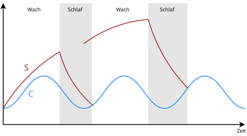 File:Zwei-prozess-modell-der-schlafregulation.svg