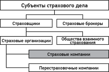 Кто курирует страховые компаний в рф