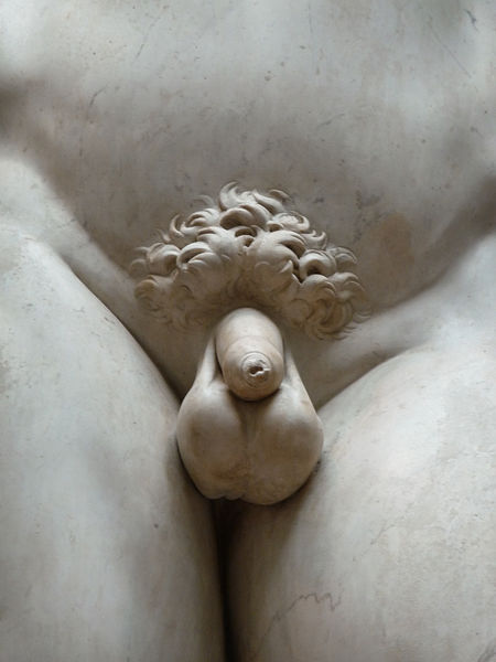 File:'David' by Michelangelo JBU11.JPG