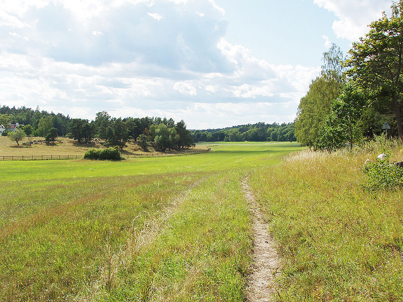 File:Östra Yttringe ängar.jpg