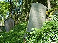 Židovský hřbitov Přehořov - 2 náhrobky