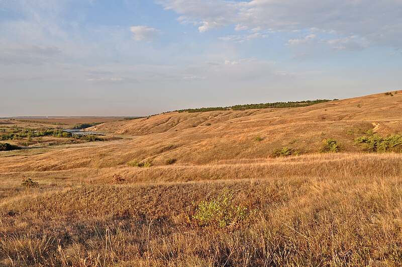 File:Івано-Дар’ївський розріз нижньопермських порід.jpg