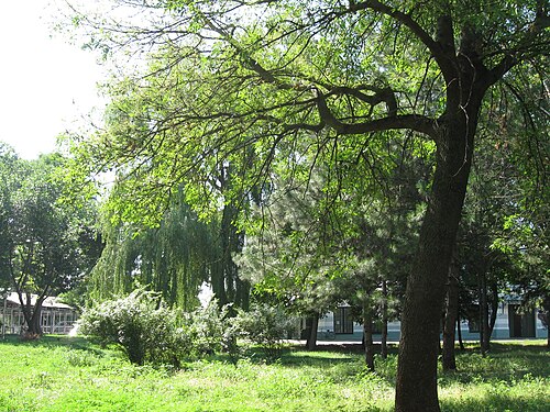 Село белая глина. Село белая глина Краснодарский край парк. Парк в белой глине Краснодарского края. Парк Ляпидевского белая глина. Село белая глина парк культуры и отдыха.