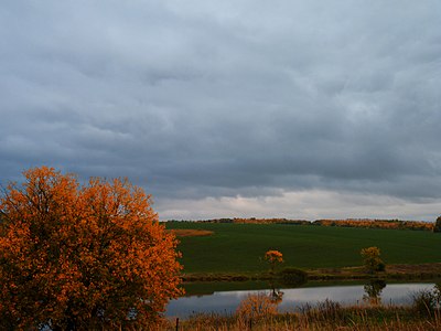 Лыткинский пруд