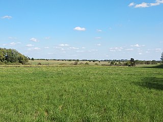 <span class="mw-page-title-main">Michael's Virgin Land Nature Reserve</span> Nature reserve in Ukraine