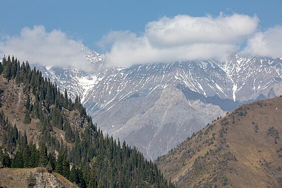 34. Sary-Chelek Nature Reserve author - Marat Nadjibaev