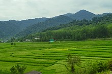 سرآکاه، گیلان، ایران