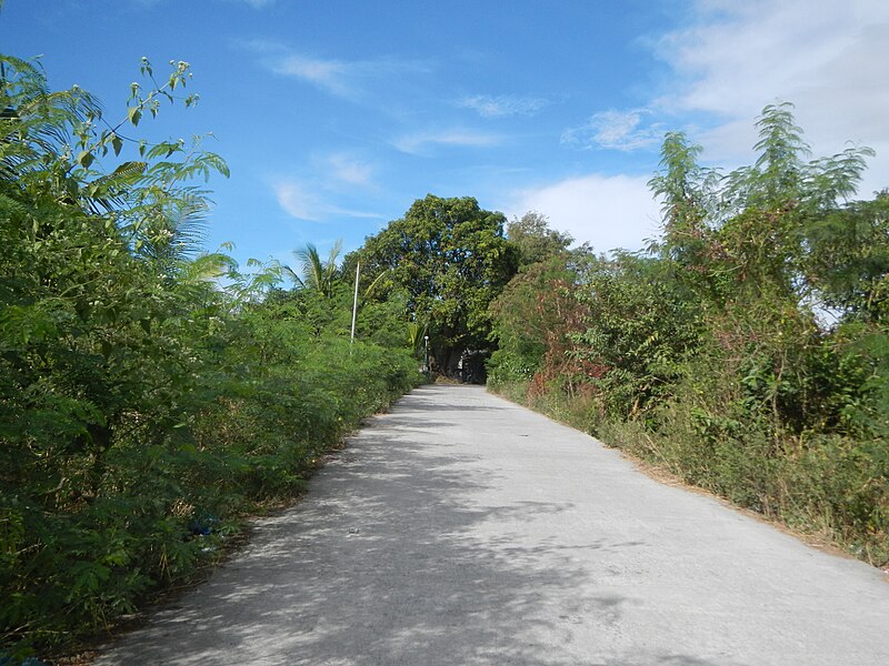 File:0977jfSulivan Roads Rice Fields San Jose San Luis Pampangafvf 15.JPG