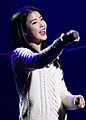 141122 악동뮤지션 콘서트 게스트 아이유 직찍 by 달빛마차.jpg