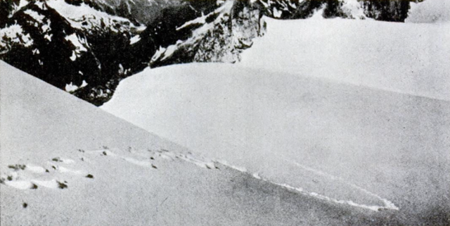 https://upload.wikimedia.org/wikipedia/commons/thumb/3/35/1937_yeti_footprints.png/640px-1937_yeti_footprints.png