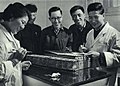1967-03 1967年人工合成结晶胰岛素白鼠实验