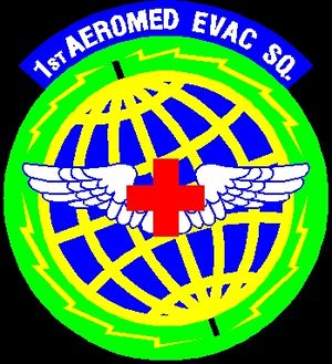 1st Aeromedical Evacuation Squadron.jpg