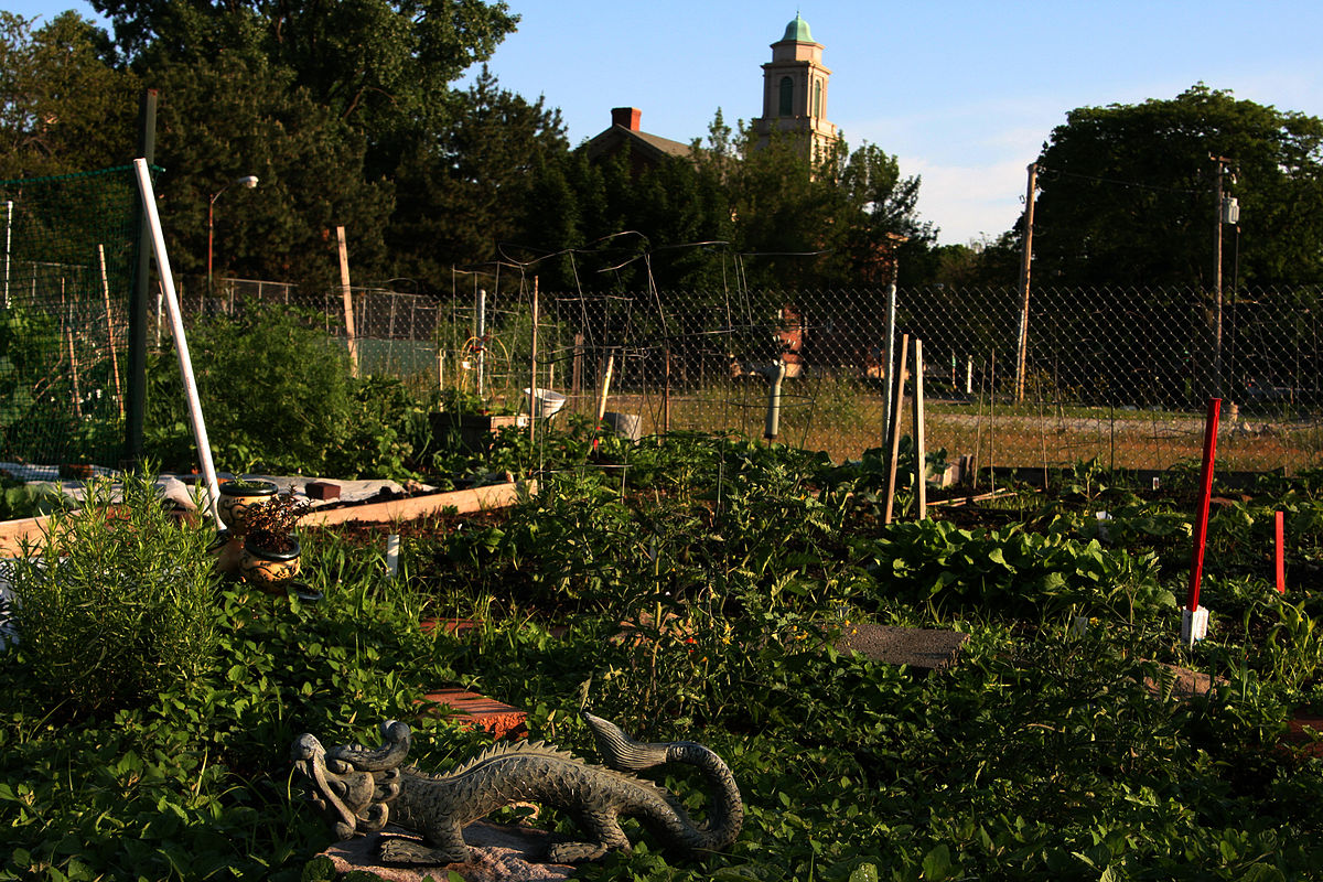 Community Gardens & Orchards