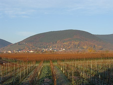 2012 Pfälzerwald 520 Breitenberg