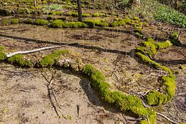 Sinterbecken