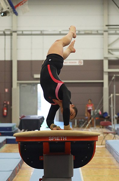 File:2022-10-30 Wase Gymcup WAG Juniors and Seniors apparatus finals warm-up Vault (Martin Rulsch) 25.jpg