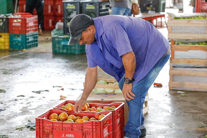 File:22 12 2023 - Ceasa-DF movimenta 30 mil toneladas de produtos para ceias de Natal (53412958302).jpg