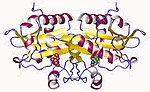 Thumbnail for Glucosamine-phosphate N-acetyltransferase