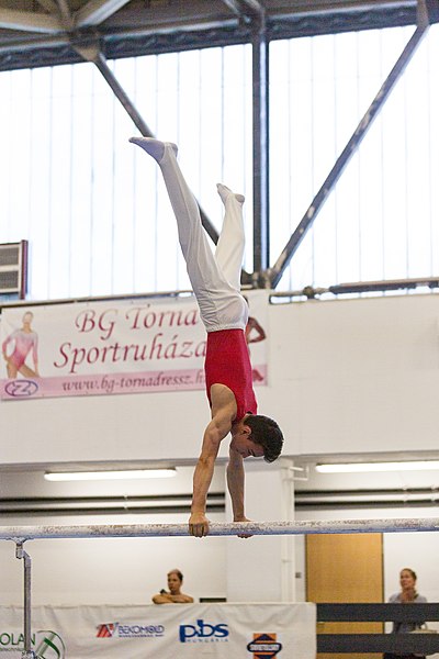 File:5th Budapest Cup 2019-05-25 István Mentovai (Norman Seibert) - 01001.jpg