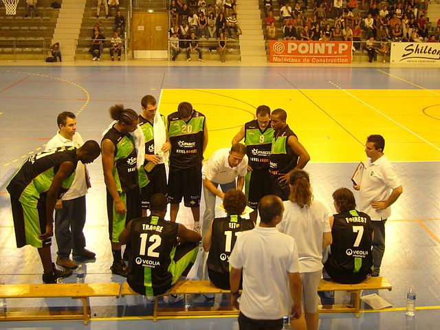 The ASVEL team during the 2008–09 season