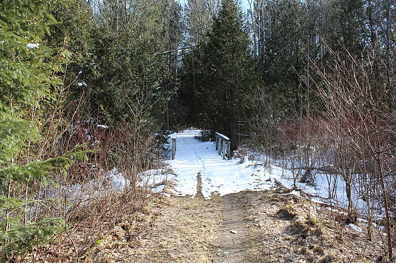 File:A Walk In Inverhuron (47566655162).jpg