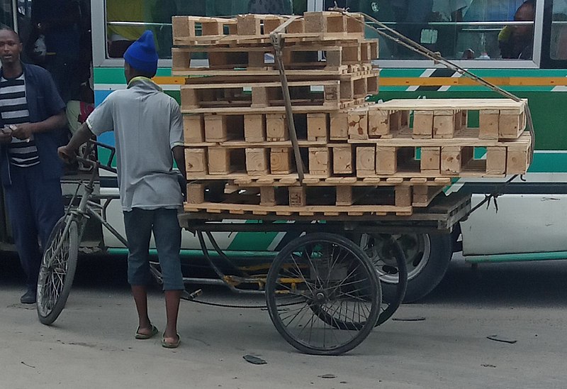 File:A boy with GUTA.jpg