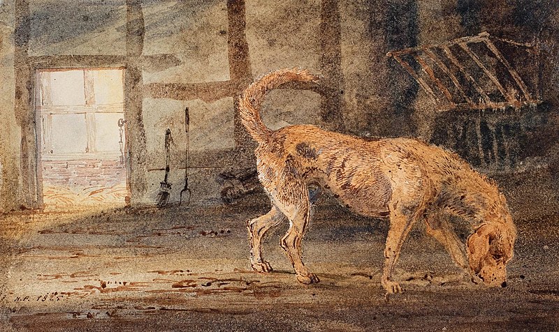 File:A brindled hound - Newton Smith Limbird Fielding - Fielding-K07756.jpg